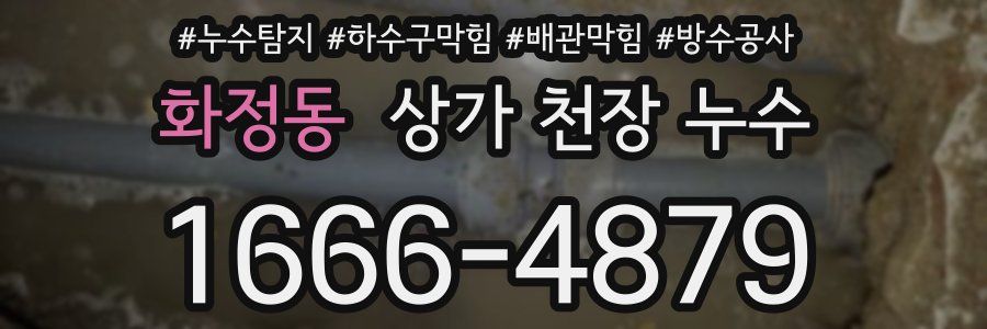 화정동 상가 천장 누수