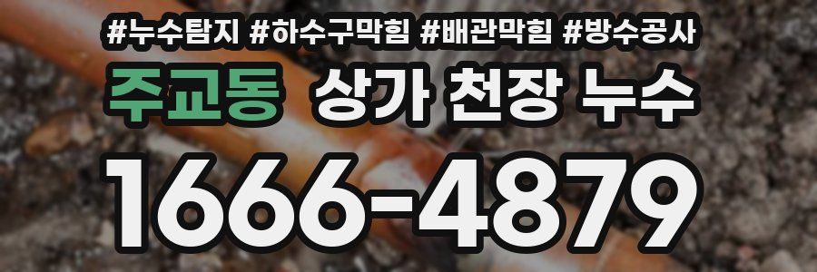 주교동 상가 천장 누수