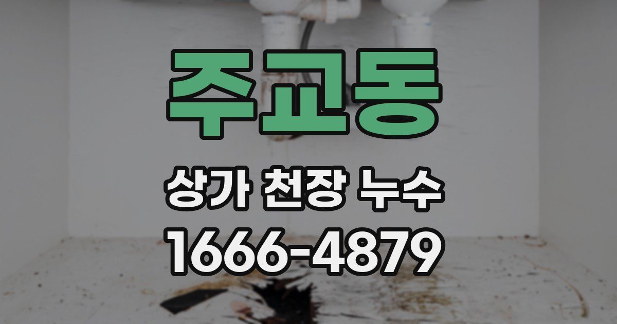 주교동 상가 천장 누수