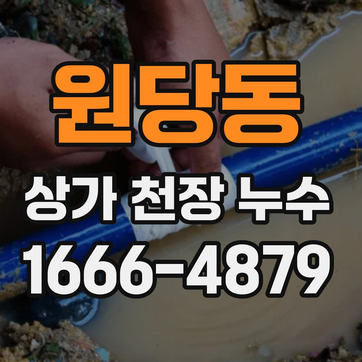 원당동 상가 천장 누수