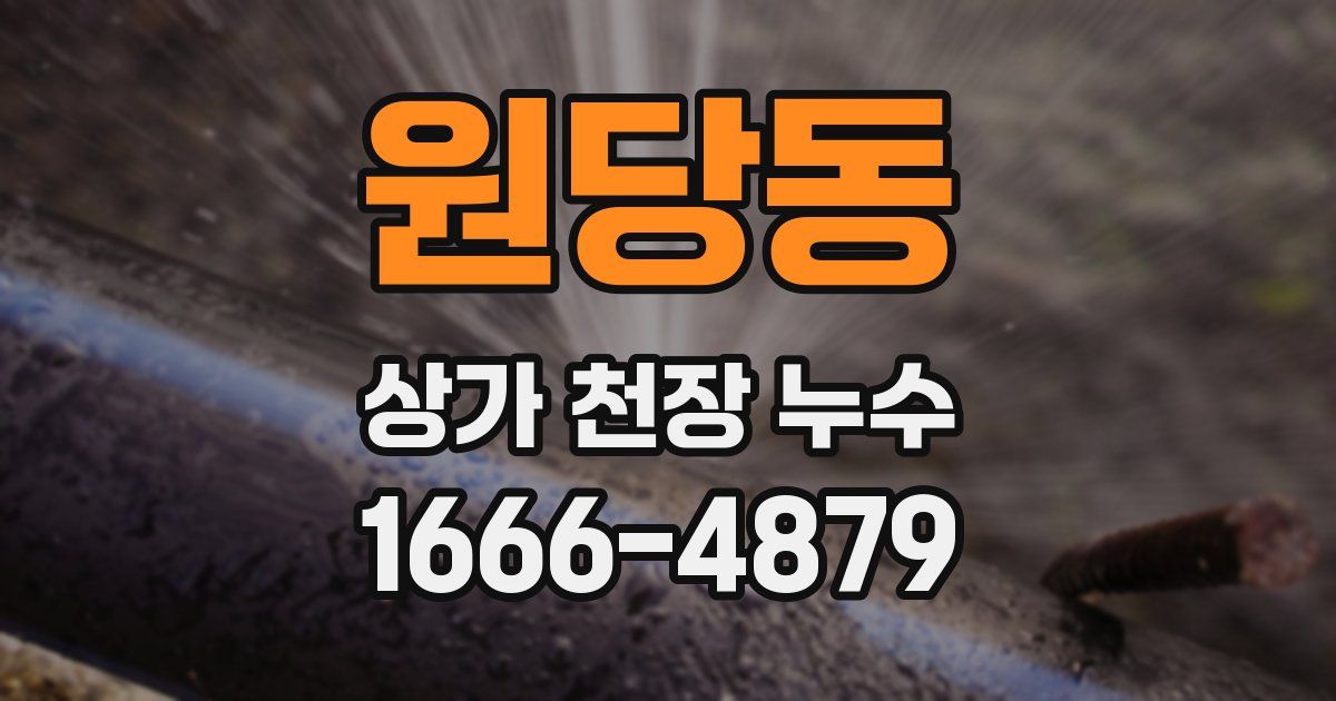 원당동 상가 천장 누수