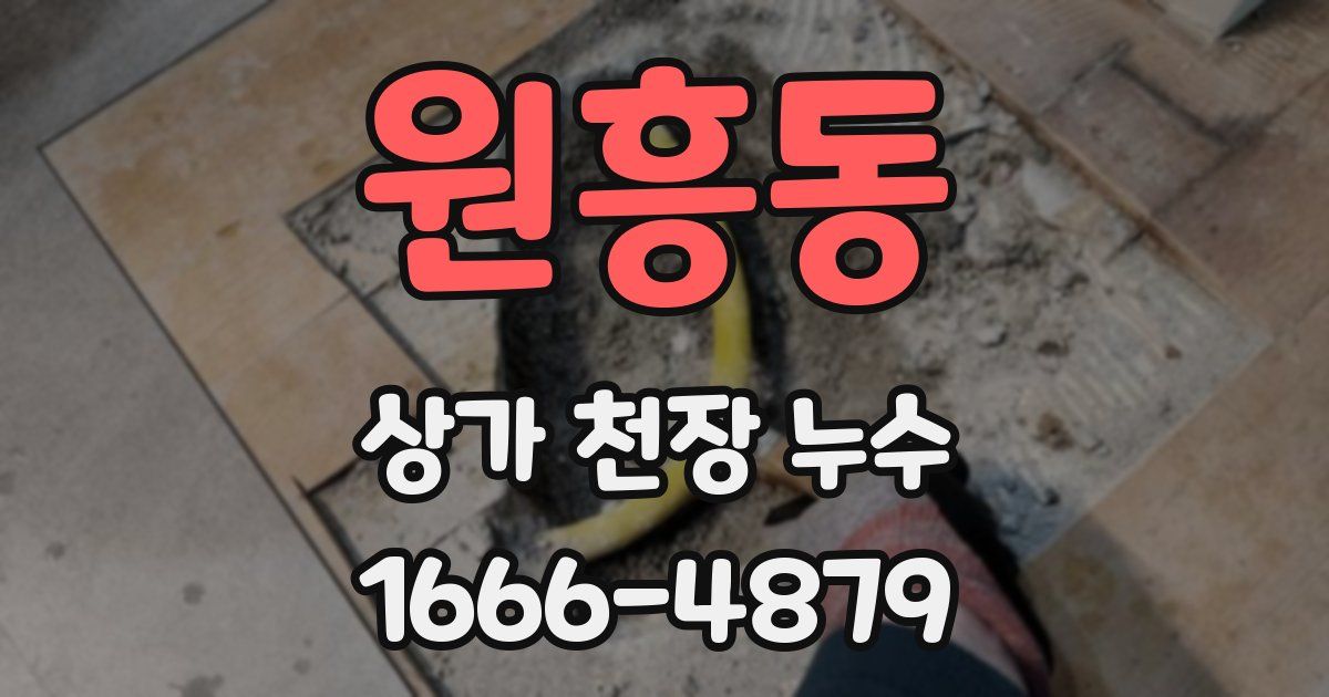 원흥동 상가 천장 누수