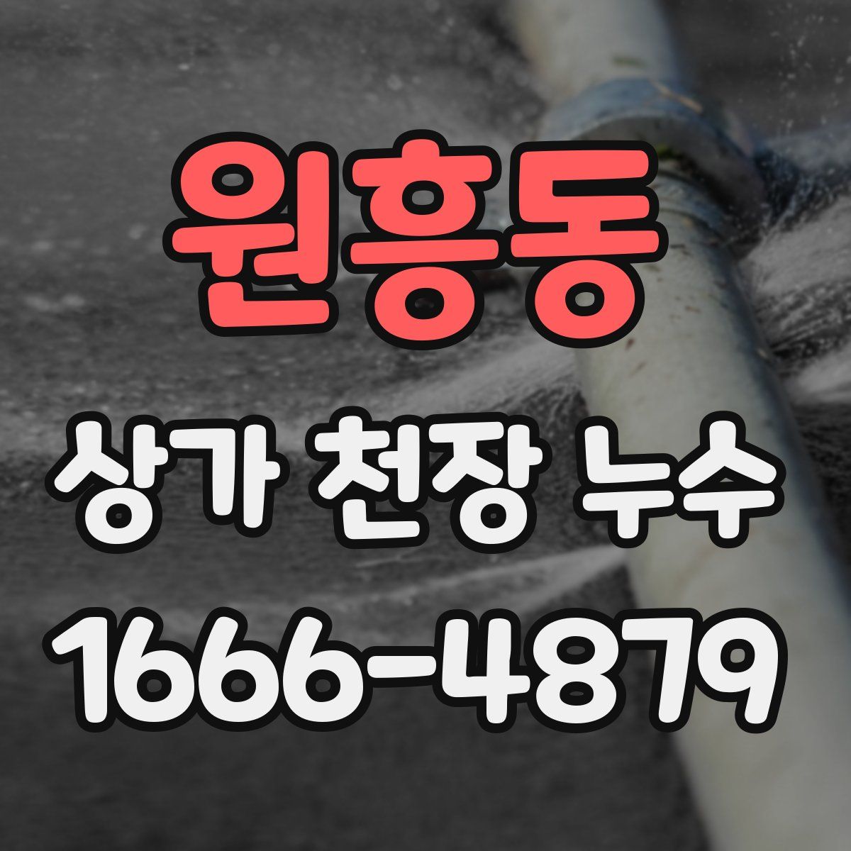 원흥동 상가 천장 누수