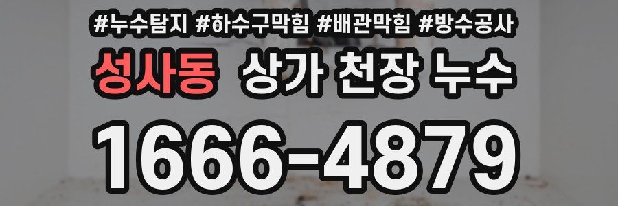 성사동 상가 천장 누수