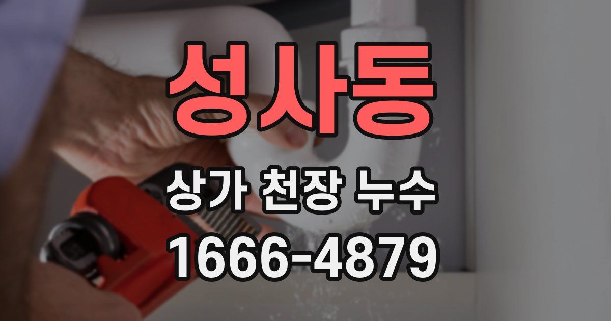 성사동 상가 천장 누수