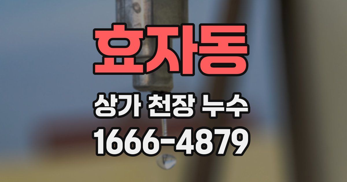 효자동 상가 천장 누수