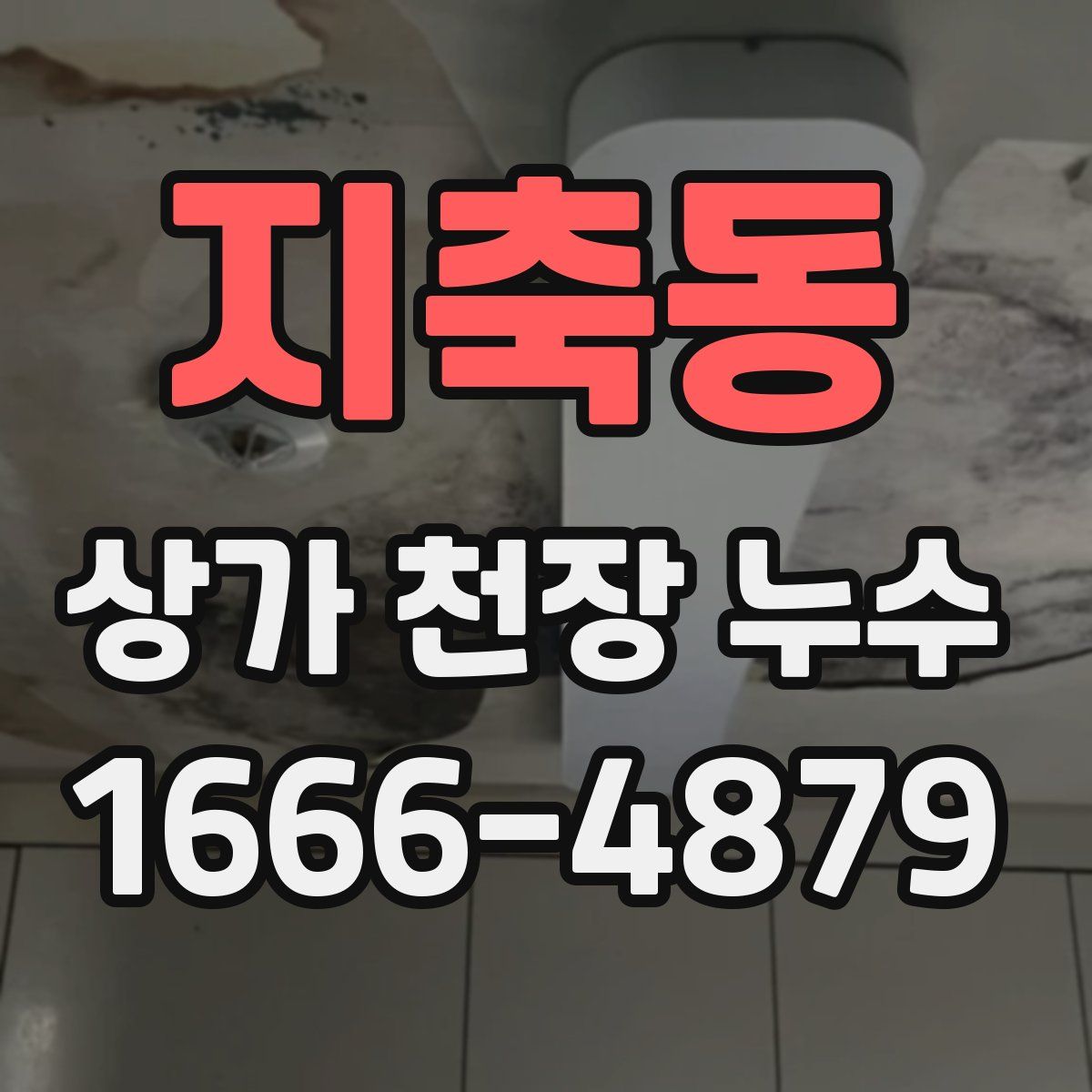지축동 상가 천장 누수