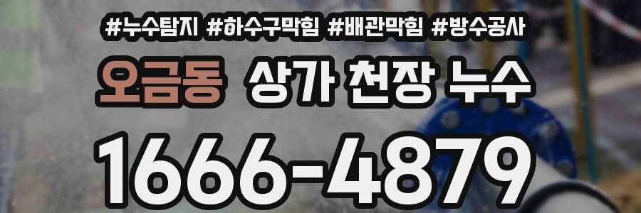 오금동 상가 천장 누수