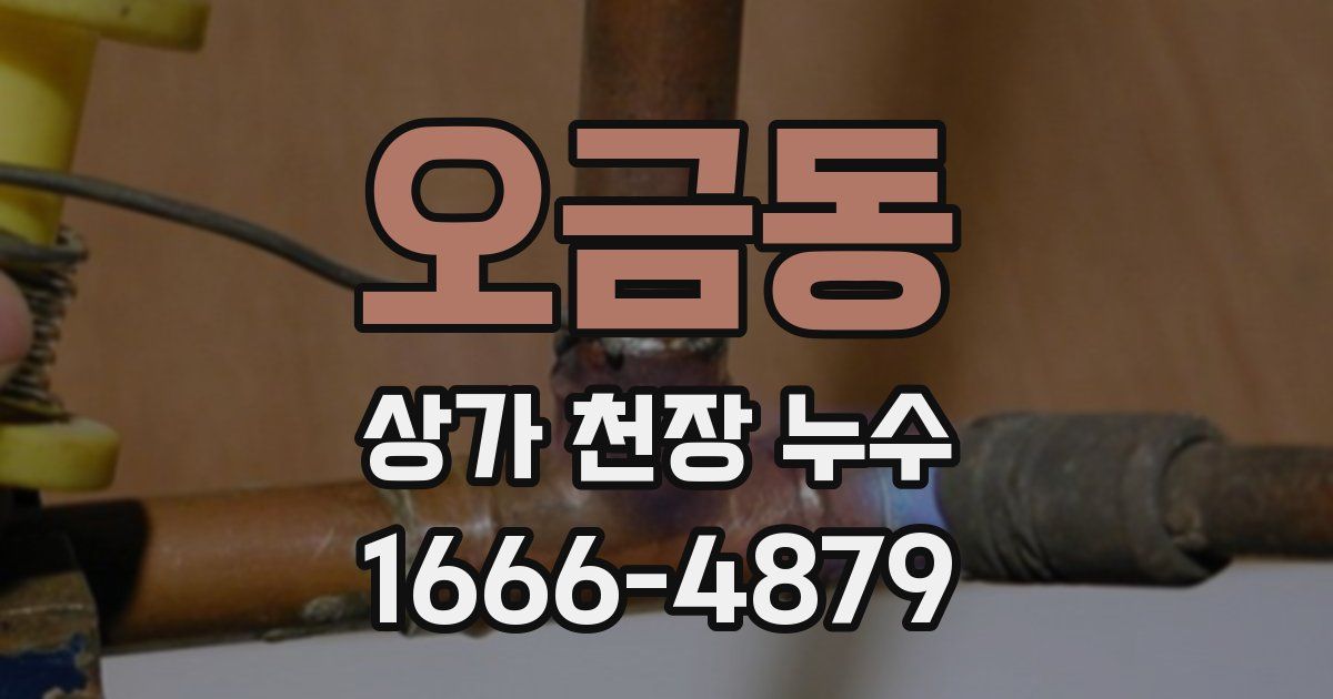 오금동 상가 천장 누수