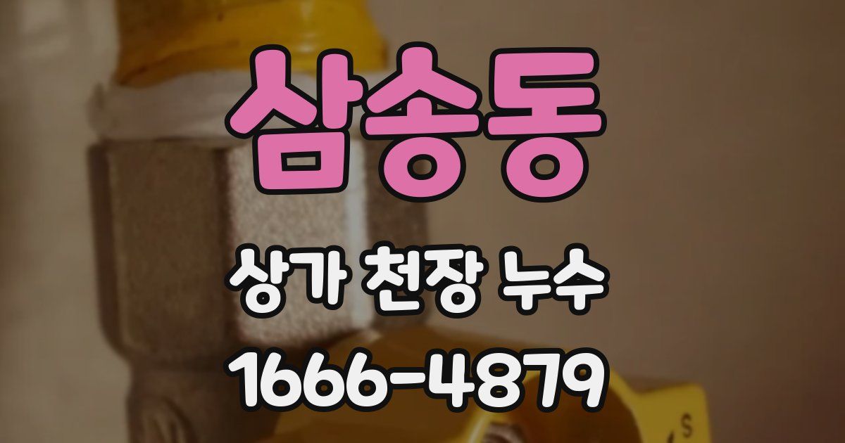 삼송동 상가 천장 누수