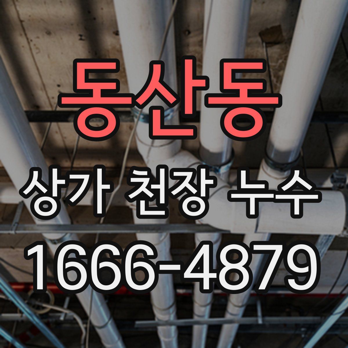 동산동 상가 천장 누수