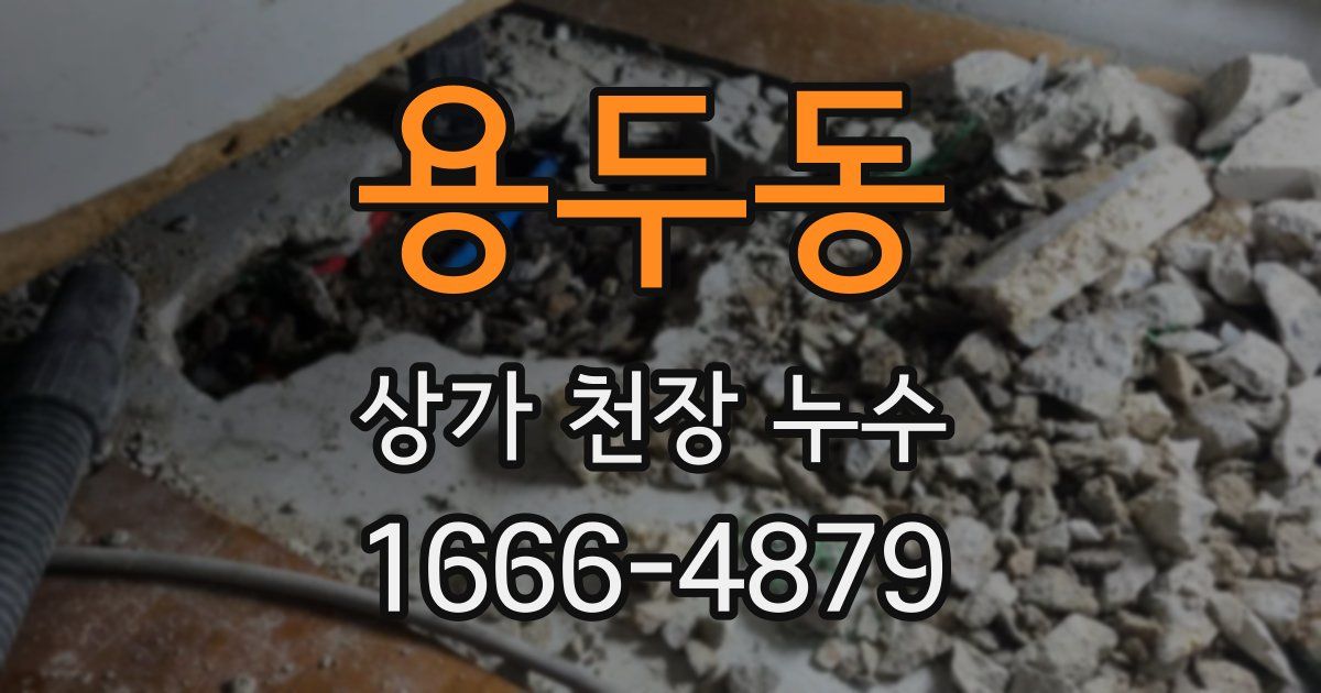 용두동 상가 천장 누수