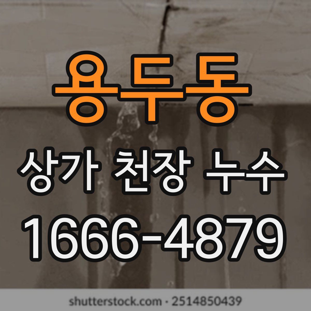 용두동 상가 천장 누수