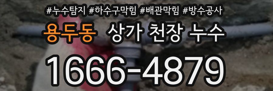 용두동 상가 천장 누수