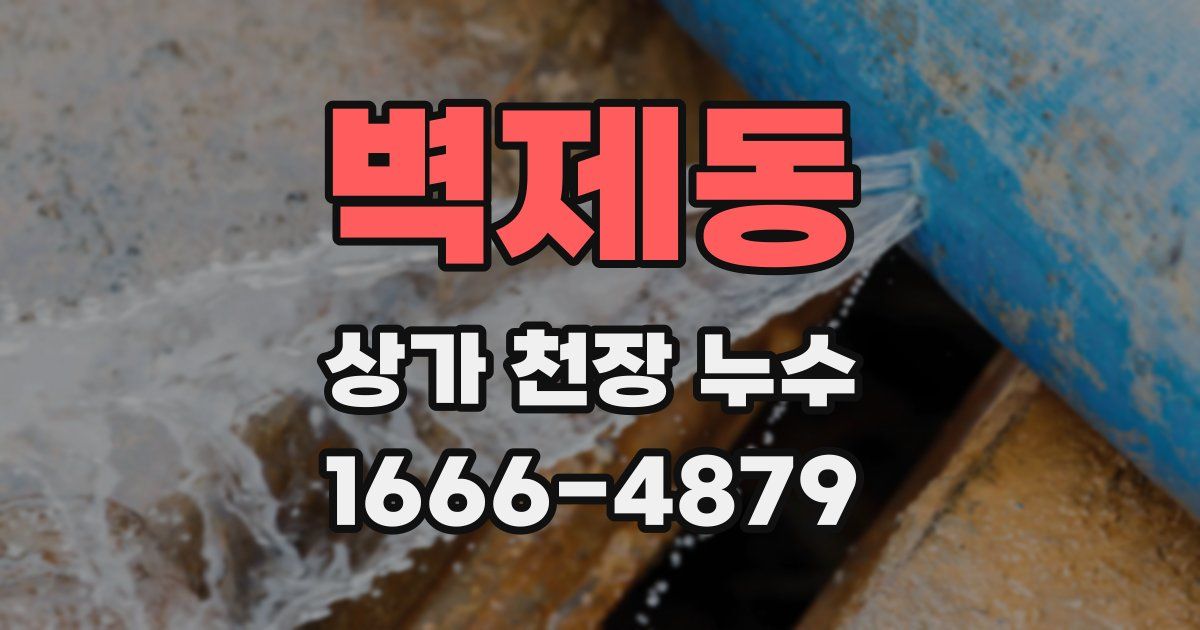 벽제동 상가 천장 누수