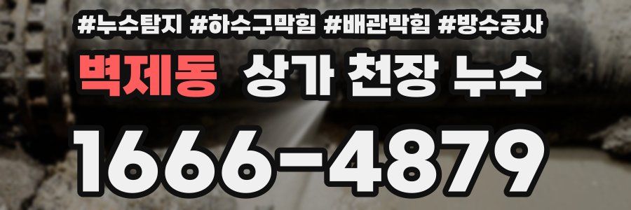 벽제동 상가 천장 누수