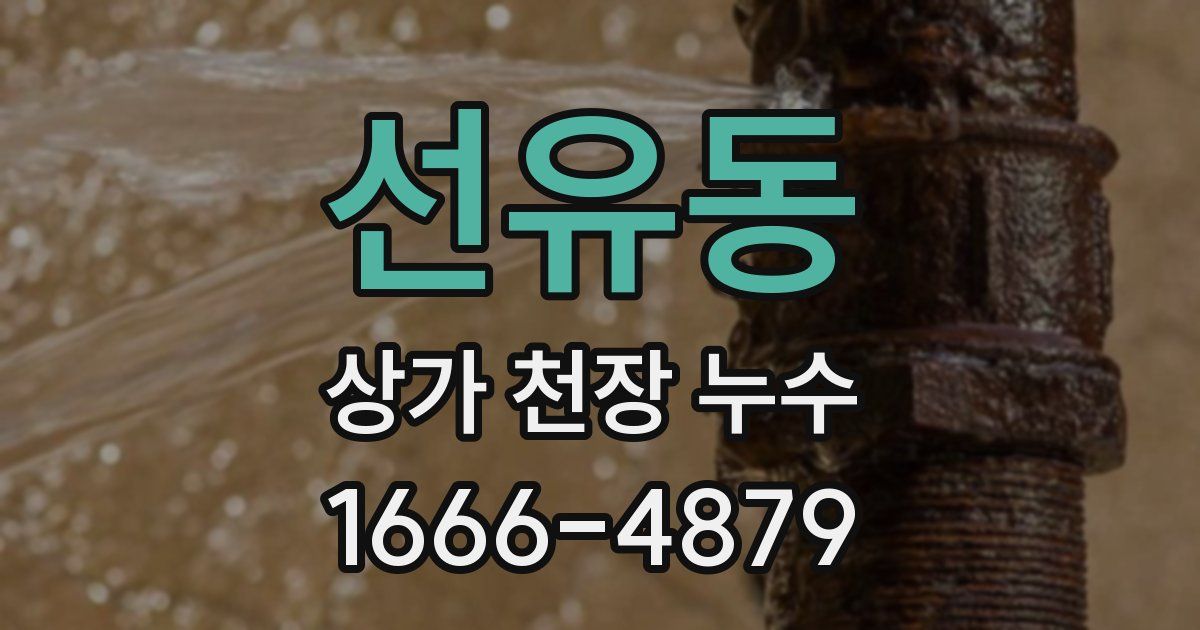선유동 상가 천장 누수
