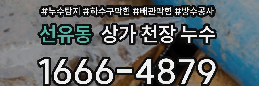 선유동 상가 천장 누수