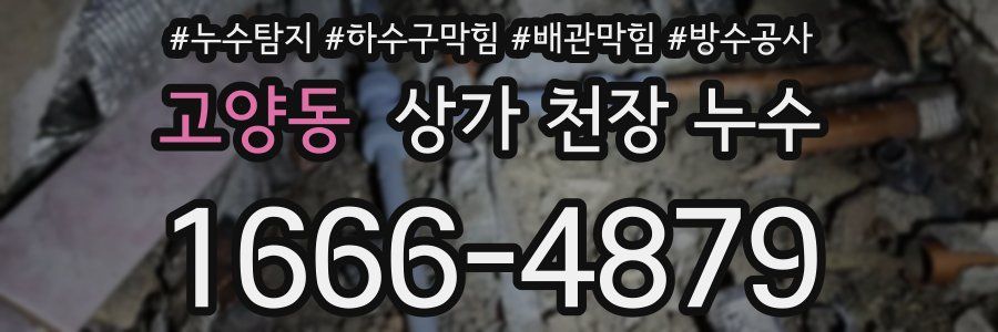 고양동 상가 천장 누수