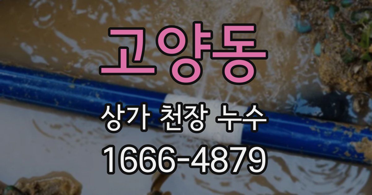 고양동 상가 천장 누수