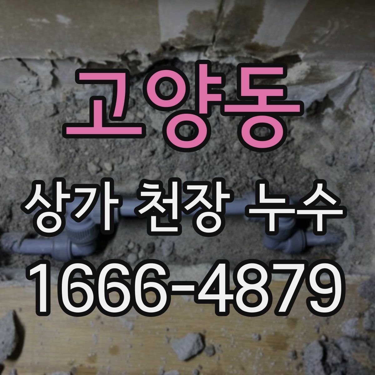 고양동 상가 천장 누수