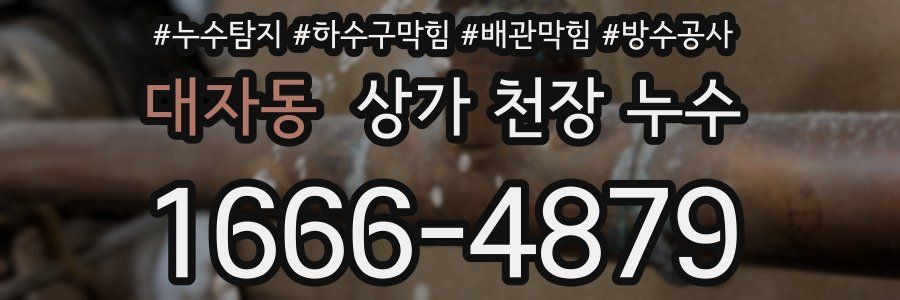 대자동 상가 천장 누수
