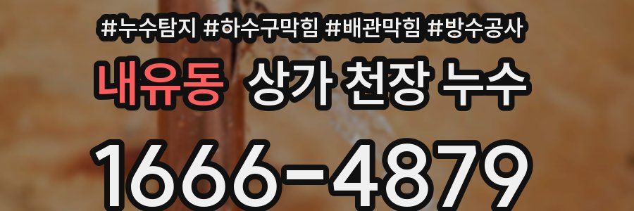 내유동 상가 천장 누수