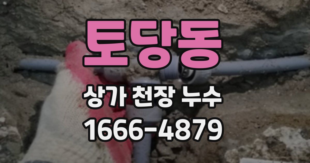 토당동 상가 천장 누수