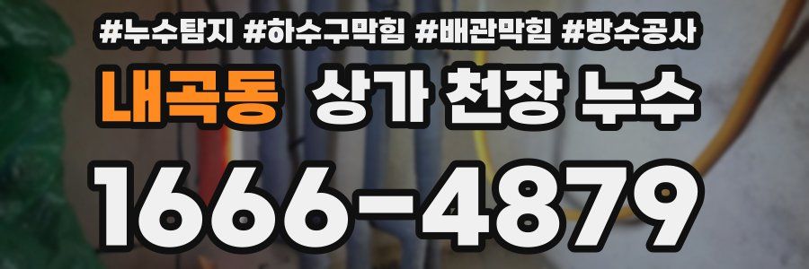 내곡동 상가 천장 누수