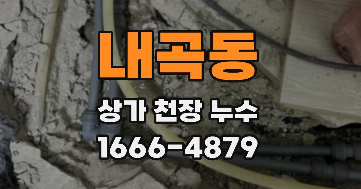 내곡동 상가 천장 누수
