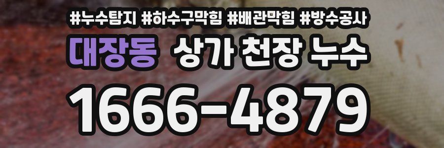 대장동 상가 천장 누수
