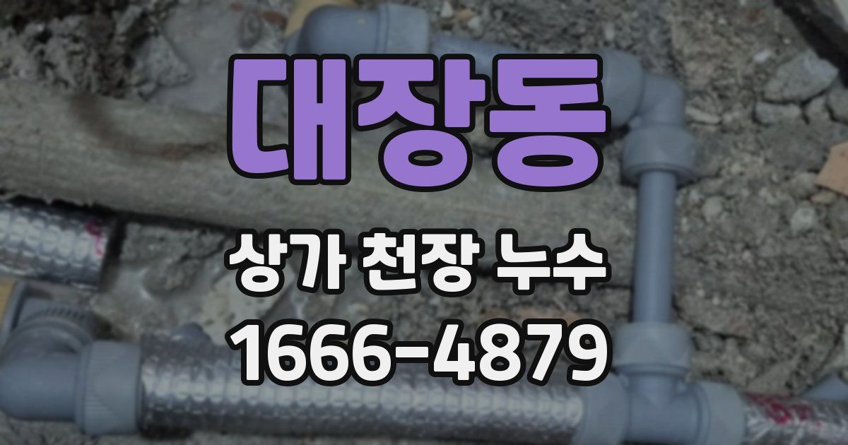 대장동 상가 천장 누수