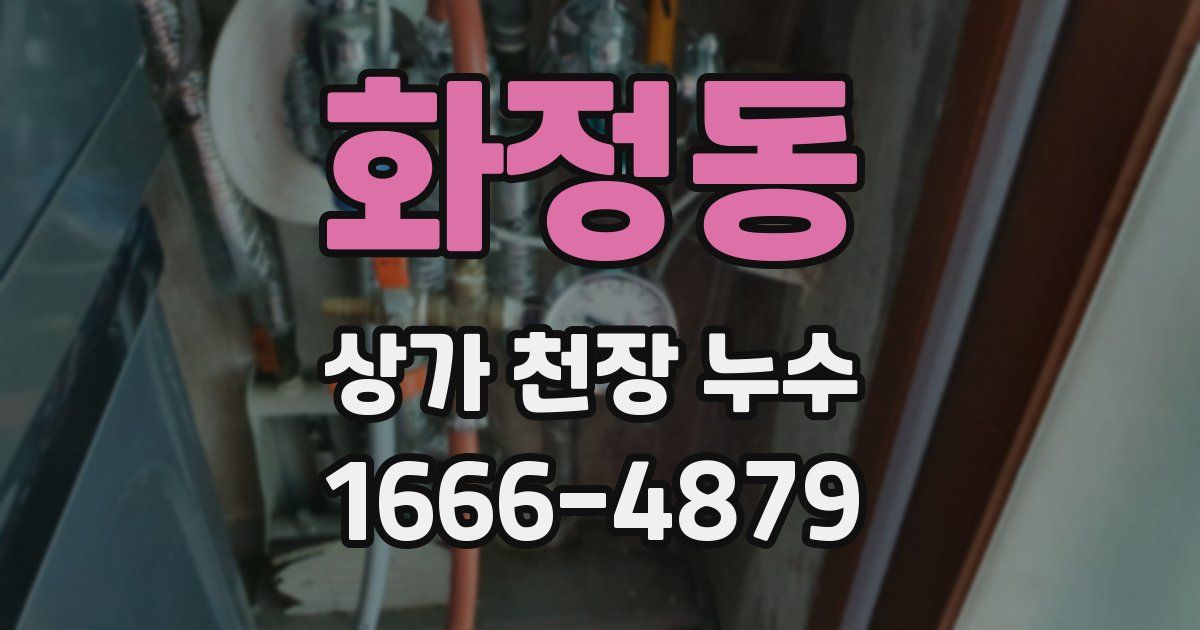화정동 상가 천장 누수