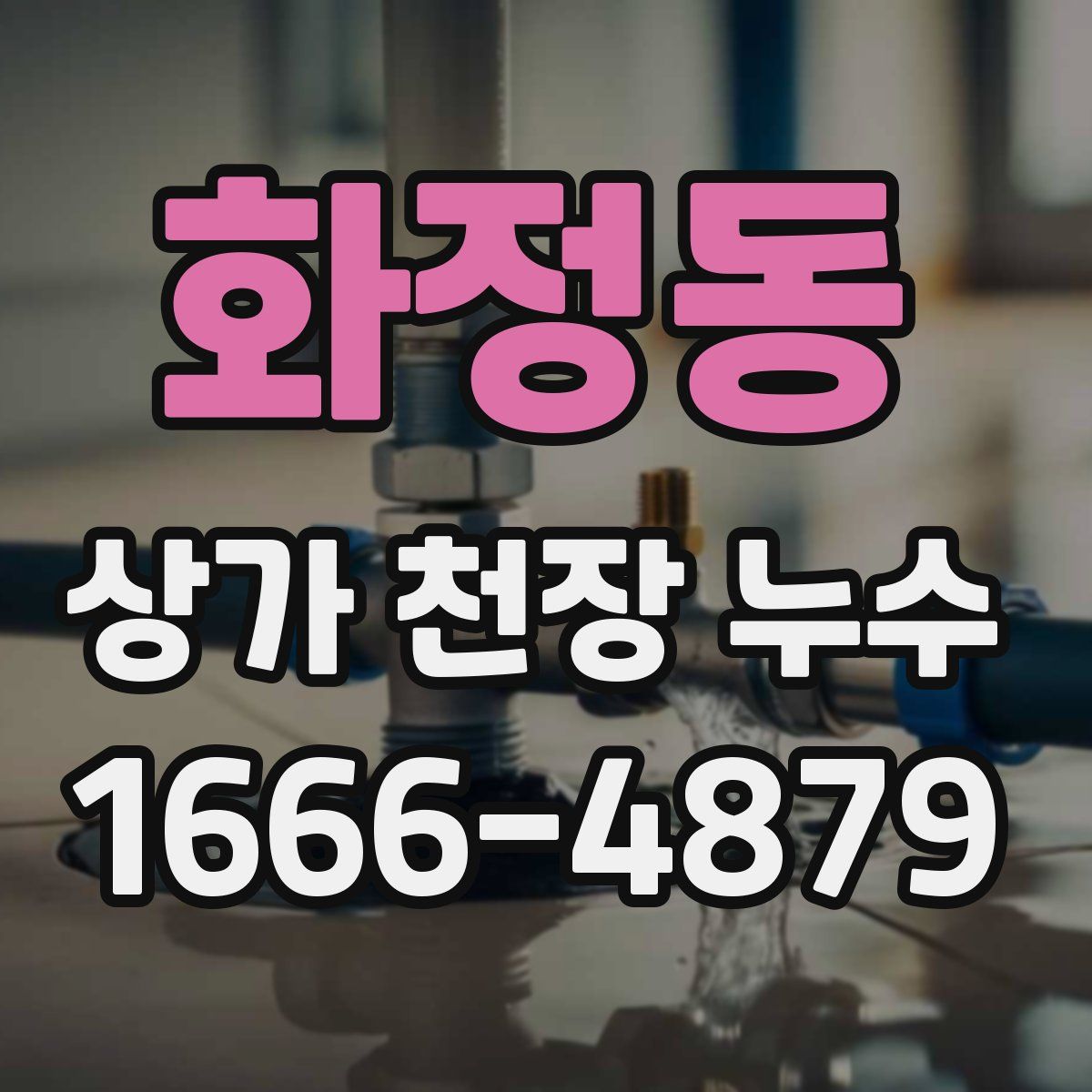 화정동 상가 천장 누수