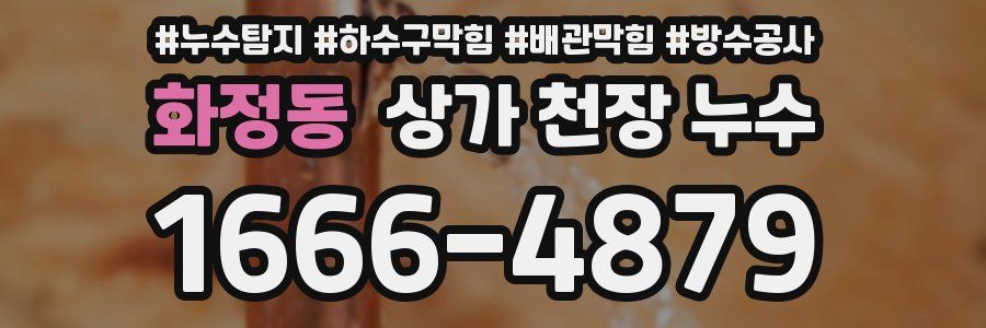 화정동 상가 천장 누수