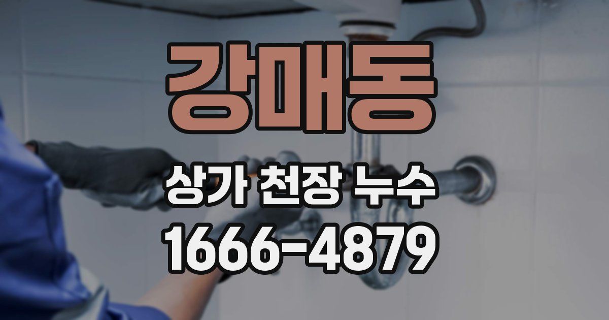 강매동 상가 천장 누수