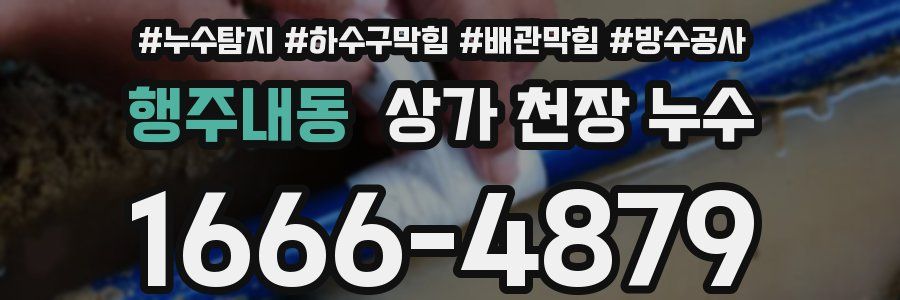 행주내동 상가 천장 누수