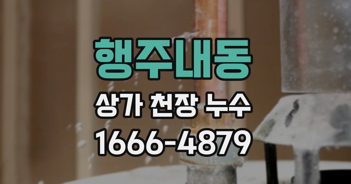 행주내동 상가 천장 누수