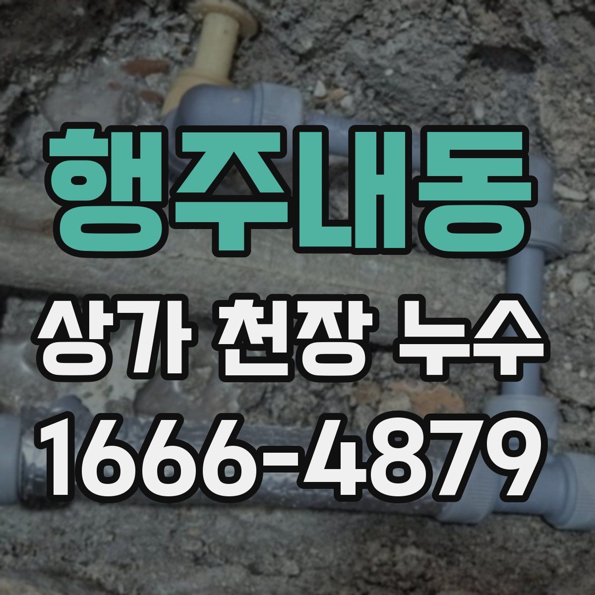 행주내동 상가 천장 누수