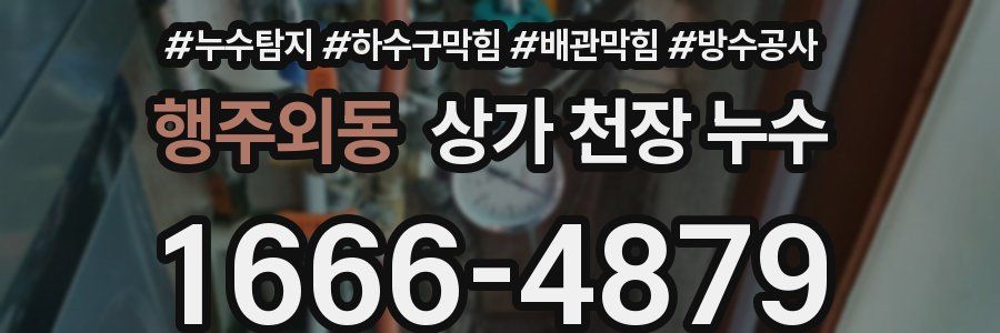 행주외동 상가 천장 누수