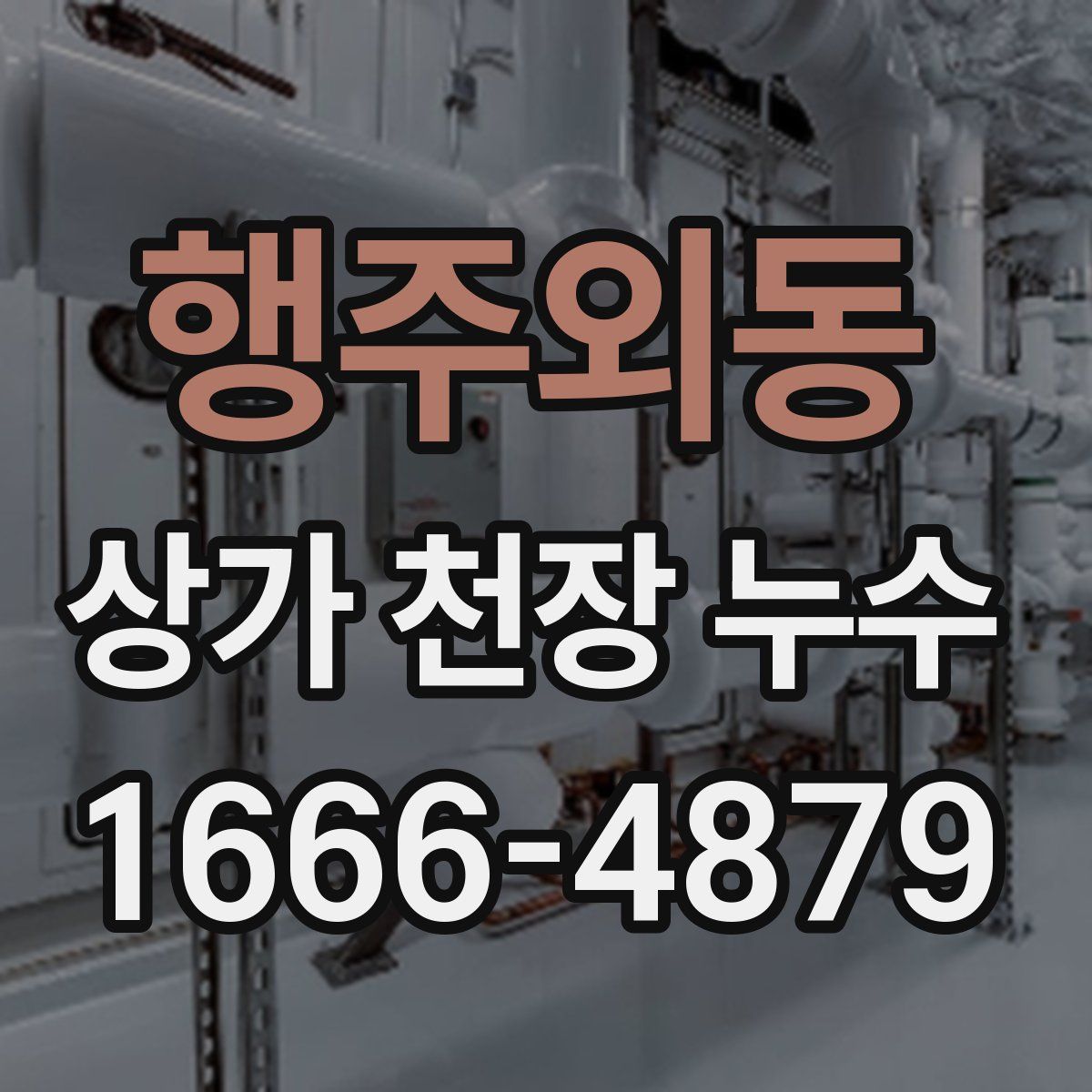 행주외동 상가 천장 누수