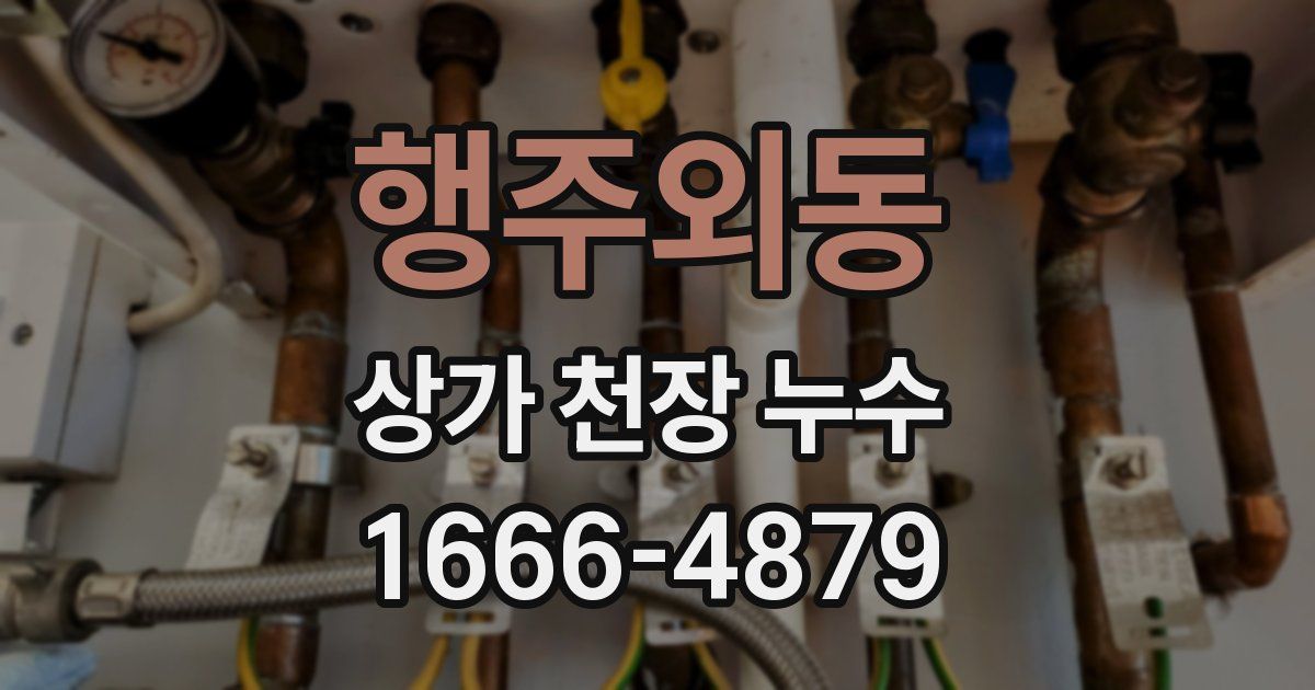 행주외동 상가 천장 누수