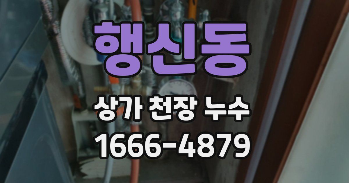 행신동 상가 천장 누수