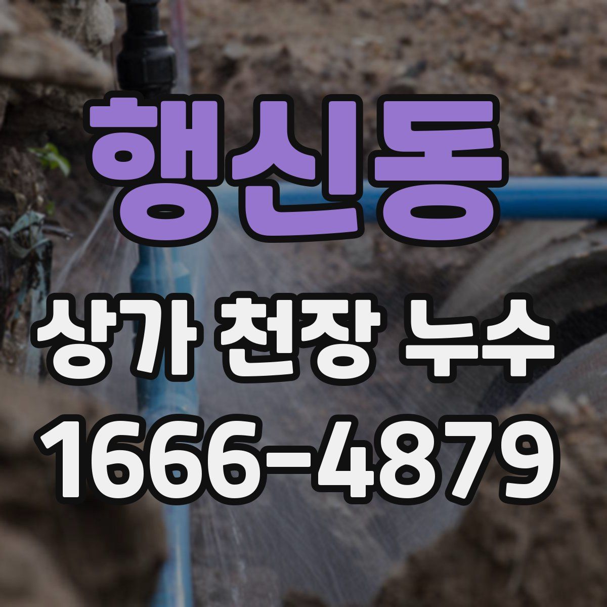 행신동 상가 천장 누수