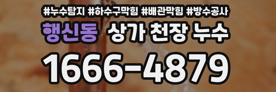 행신동 상가 천장 누수