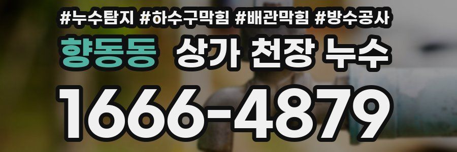 향동동 상가 천장 누수