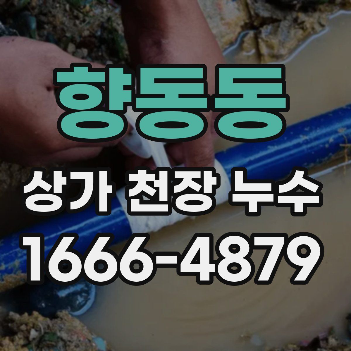 향동동 상가 천장 누수