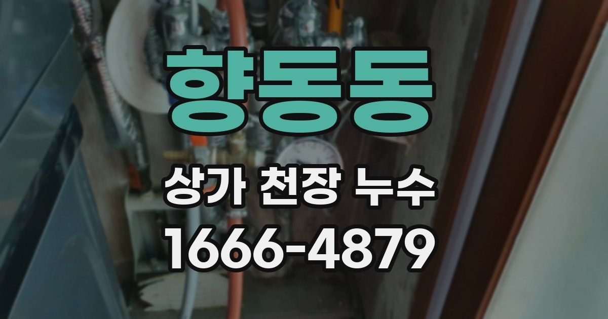 향동동 상가 천장 누수