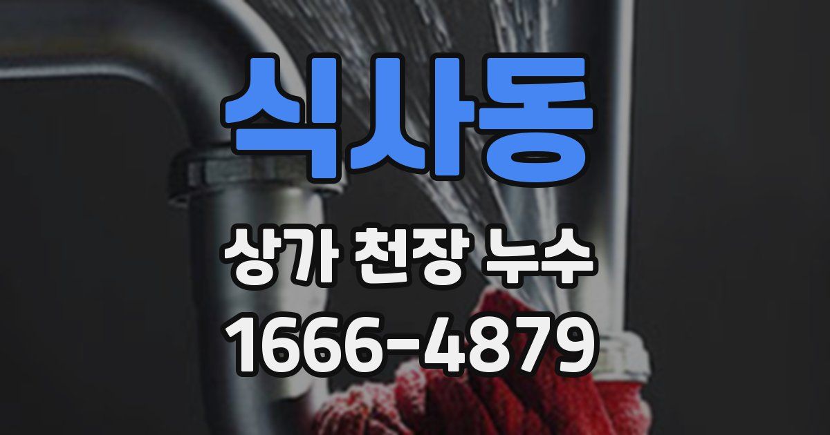 식사동 상가 천장 누수