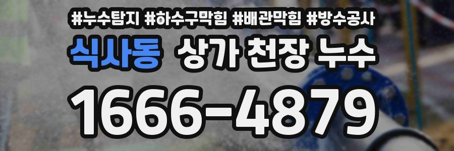 식사동 상가 천장 누수